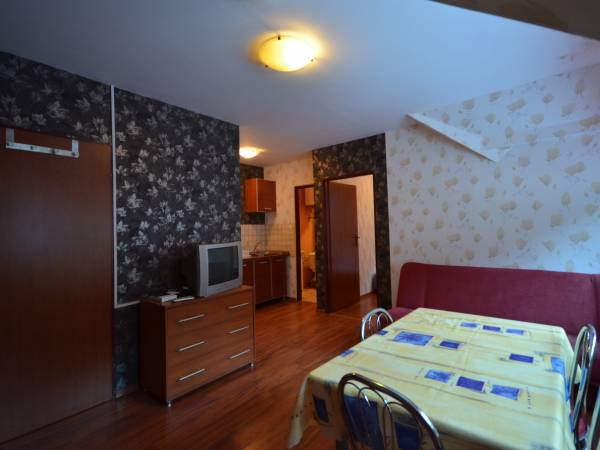Apartamenty i pokoje Pod Modrzewiem Apartamenty i pokoje Pod Modrzewiem