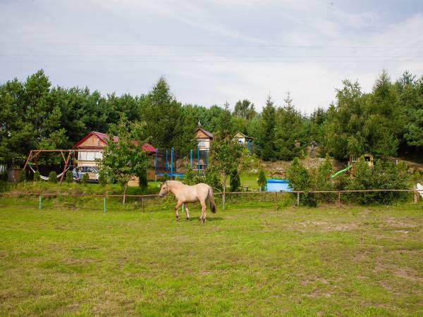 Kościerzyna