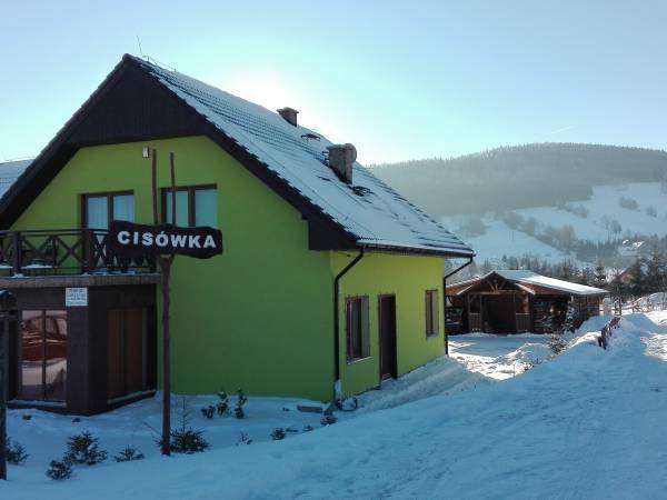 Cisówka Cisówka