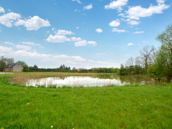 Płońsk