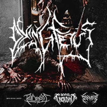 Koncert: Dying Fetus w Poznaniu