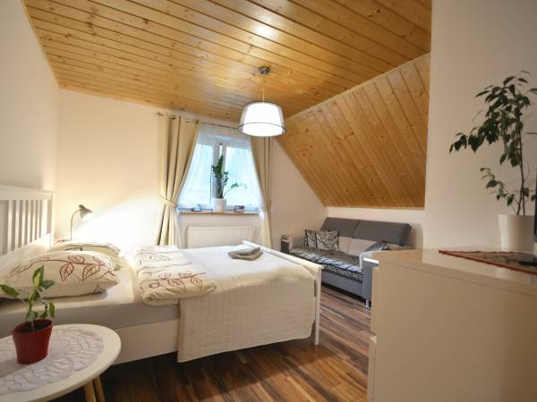Tajemnicza Kraina Tajemnicza Kraina