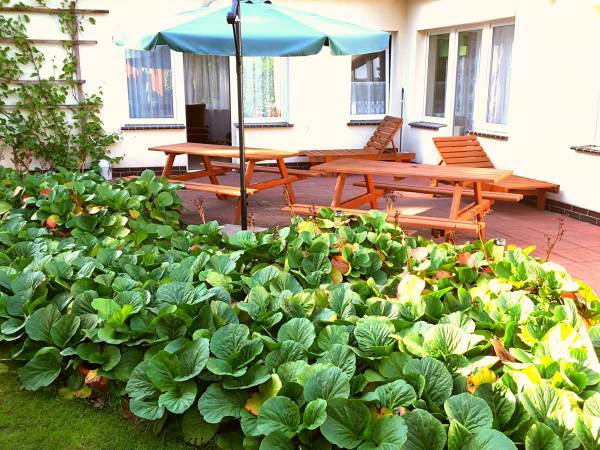 Apartamenty w Pobierowie Apartamenty w Pobierowie