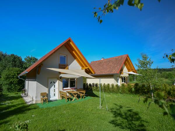 Domki nad stawem