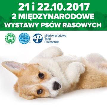 Międzynarodowe Wystawy Psów Rasowych w Poznaniu