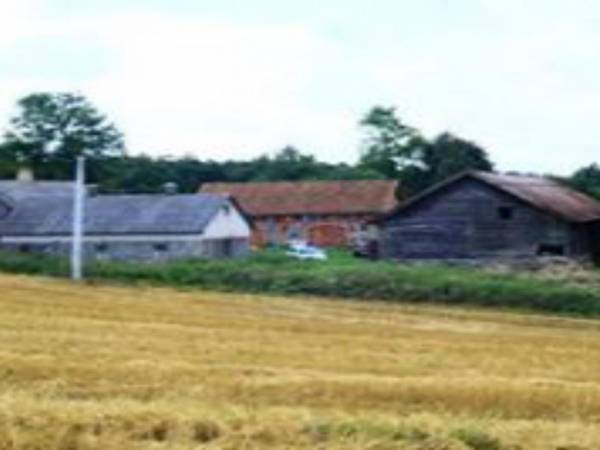 Kowale Oleckie