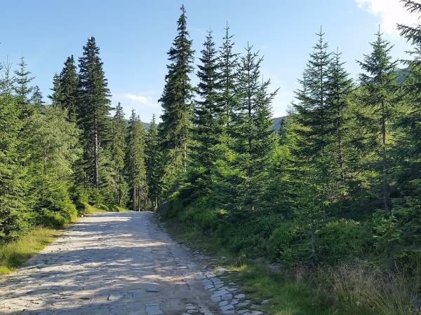 Mistrzostwa Świata w Długodystansowym Biegu Górskim: Karpacz