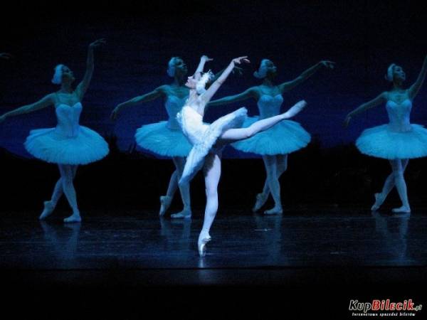 Russian National Ballet w Krakowie: Jezioro łabędzie