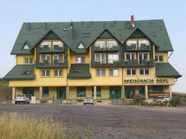 Bida z Nedzą