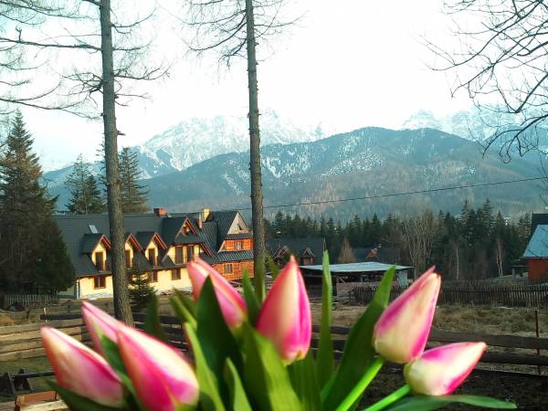 Ostern 2020 Häuschen Hacienda