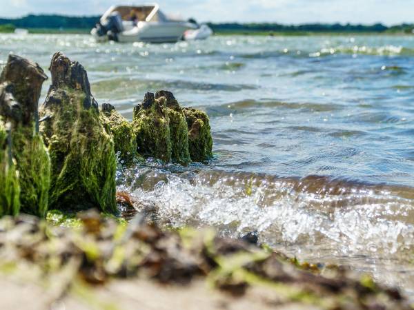 Biegowe Grand Prix Powiatu Puckiego we Władysławowie