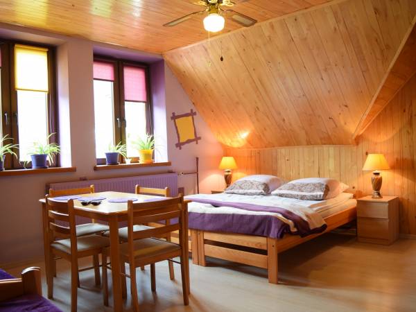 APARTAMENT & STUDIO & POKOJE Atrakcyjne ceny,BliskoCentrum ...