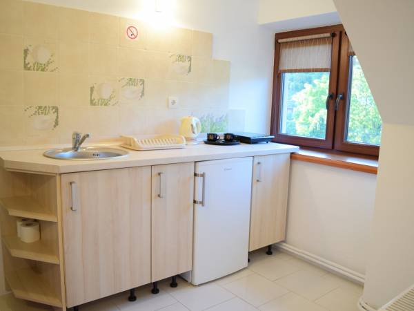 APARTAMENT & STUDIO & POKOJE Atrakcyjne ceny,BliskoCentrum ...