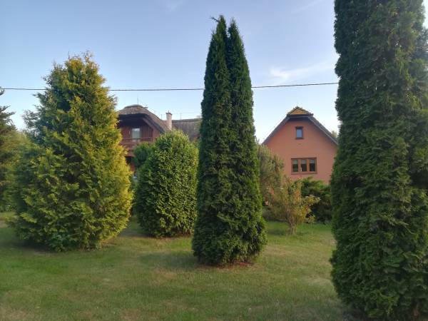 Borkowo Lęborskie