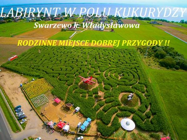 Labirynt w polu kukurydzy i autobus do góry kołami