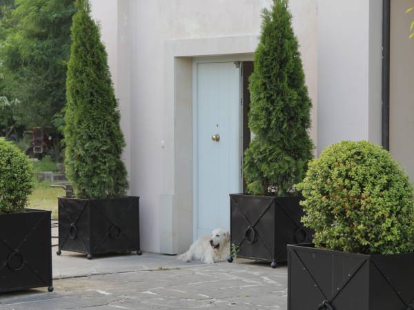 Albergo Roma