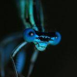 Agnieszka Stępkowska