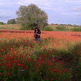 Agnieszka Lipińska Jaśkiewicz