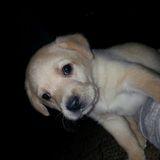 Kędziora Mirosława