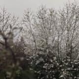 Ewa Piechula-Popiołek