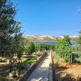 Urszula Stefańska-Wesół