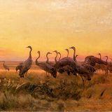 Jankowska-Podogrodzka