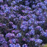 Agnieszka Chodakowska