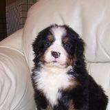 Angelika Rzeczkowska-Drab