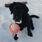 Elżbieta Czechowska