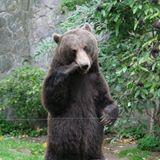 Ewa i Mieczysław Mosoń