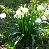 Dorota Żołędziewska