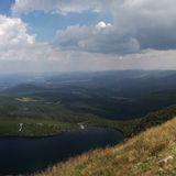 Izabela Januszkiewicz