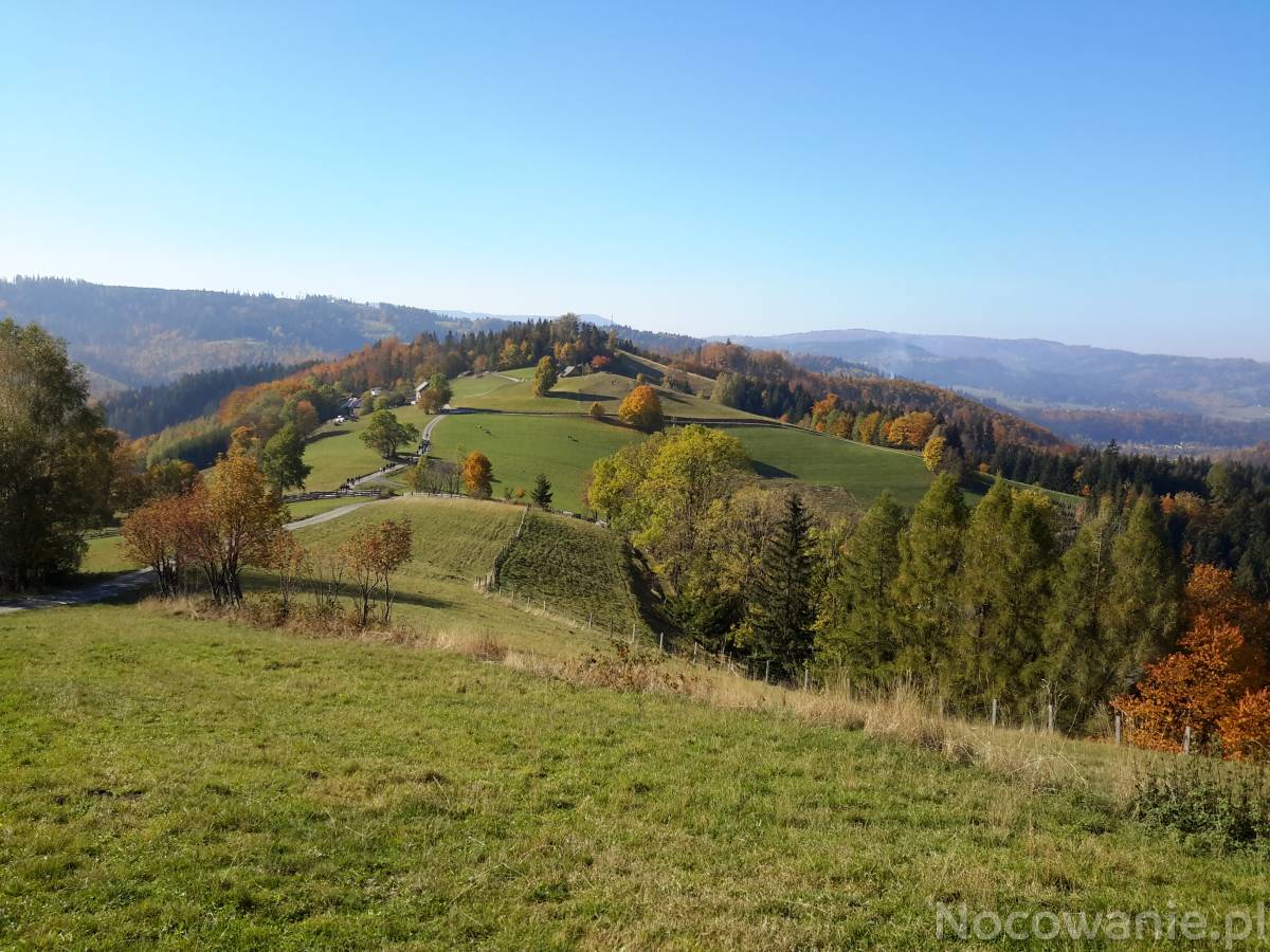 Oferta poza weekendem