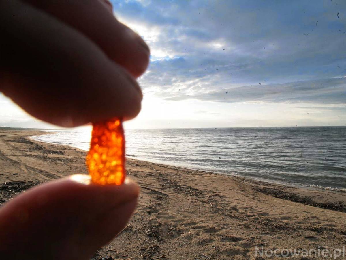 Majówka 2019 w Dziwnowie Keja Villa