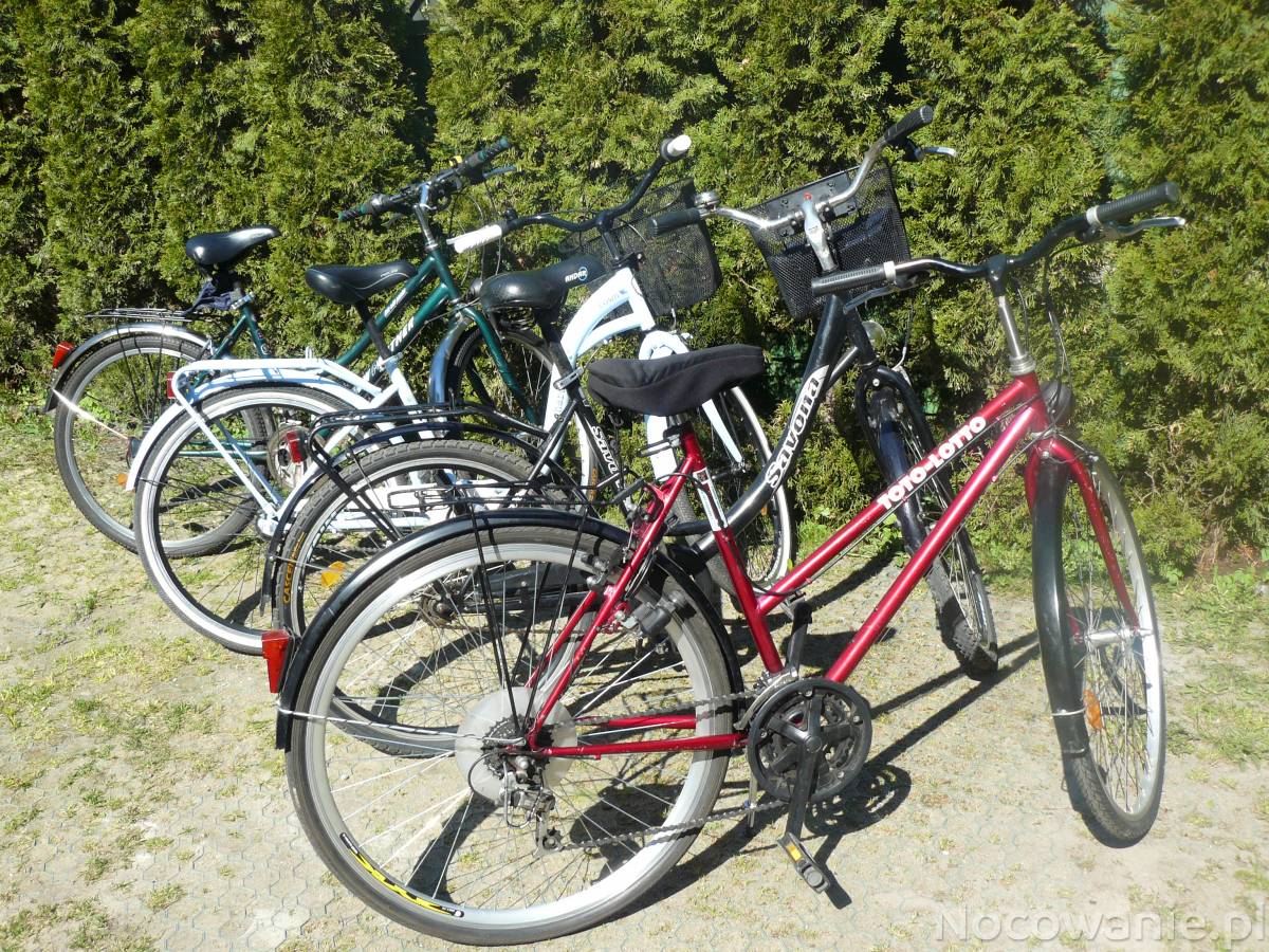 Dla turystów portalu