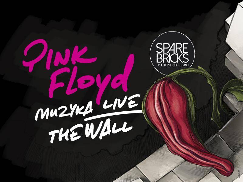 Widowisko multimedialne Pink Floyd Muzyka Live w RCK w Kołobrzegu