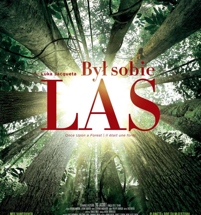 Półkolonie letnie w Palmiarni Poznańskiej: pokaz filmu „Był sobie las”