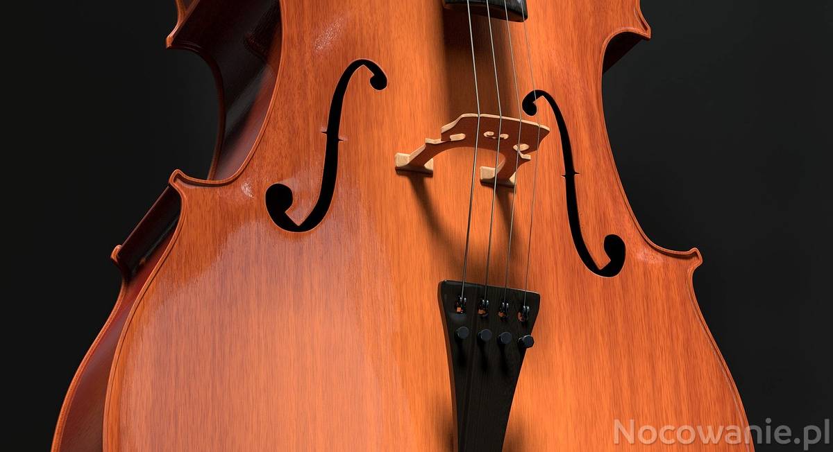 Toruń Dwór Artusa Cello Festival Wiolonczela w rękach mistrzów