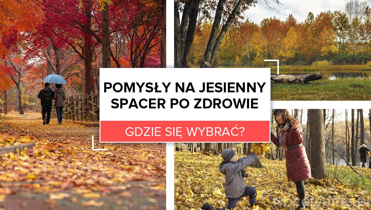 5 pomysłów na jesienny spacer po zdrowie. Gdzie się wybrać?