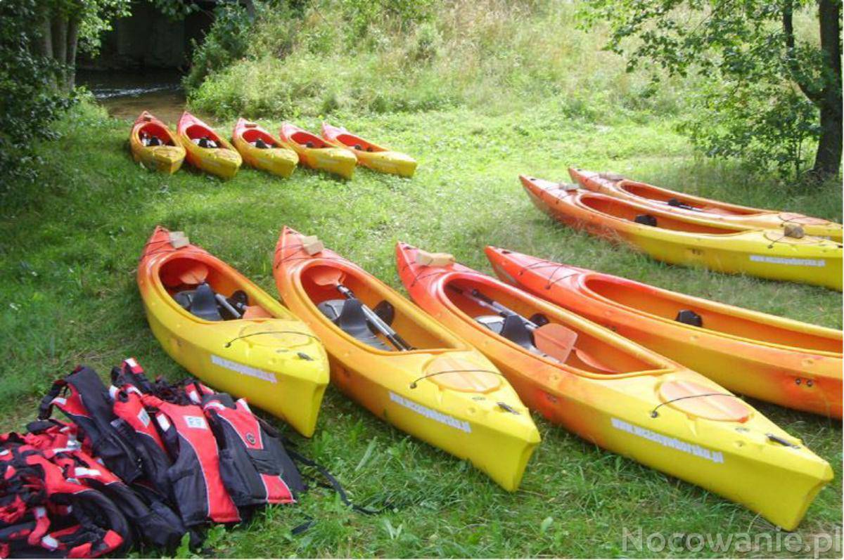 Spływy kajakowe