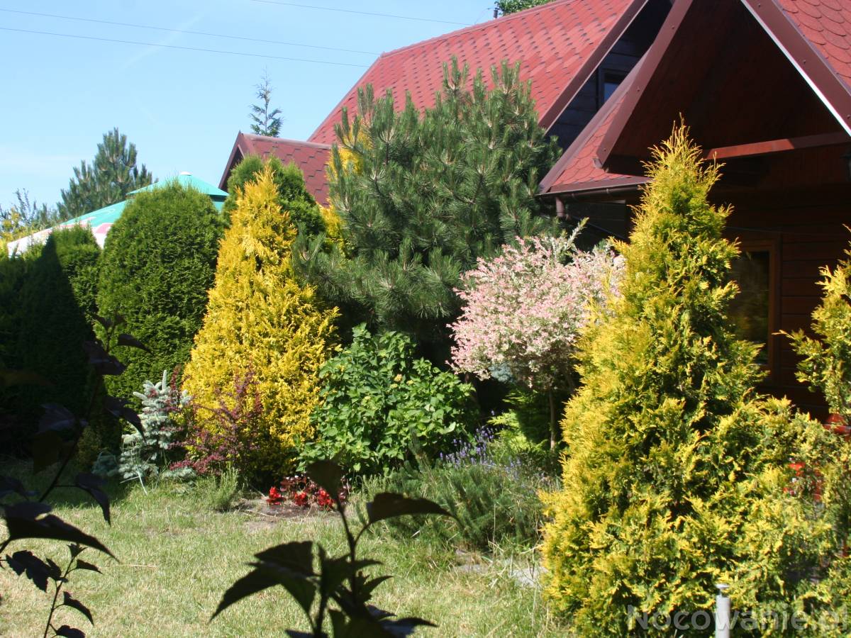 Noclegi w ustronnym miejscu