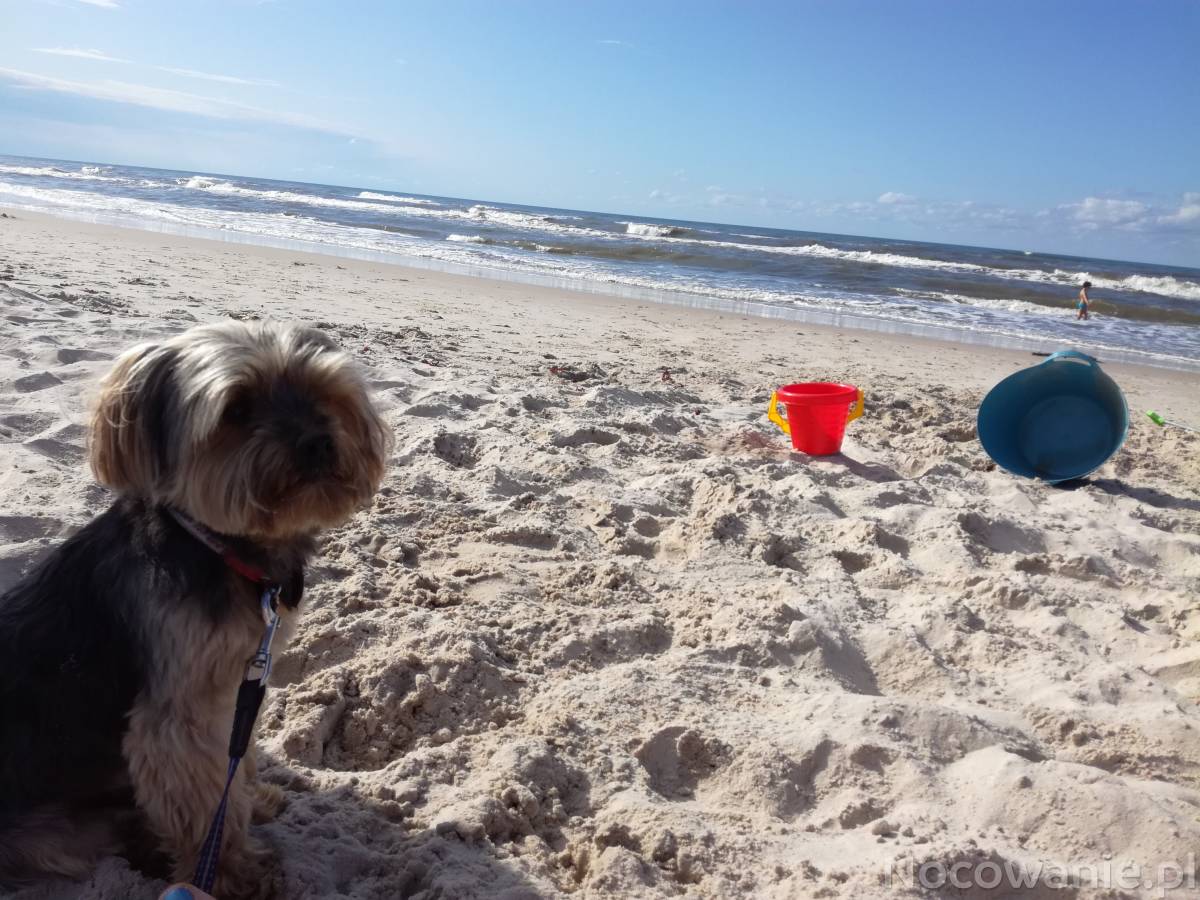 Noclegi w ustronnym miejscu