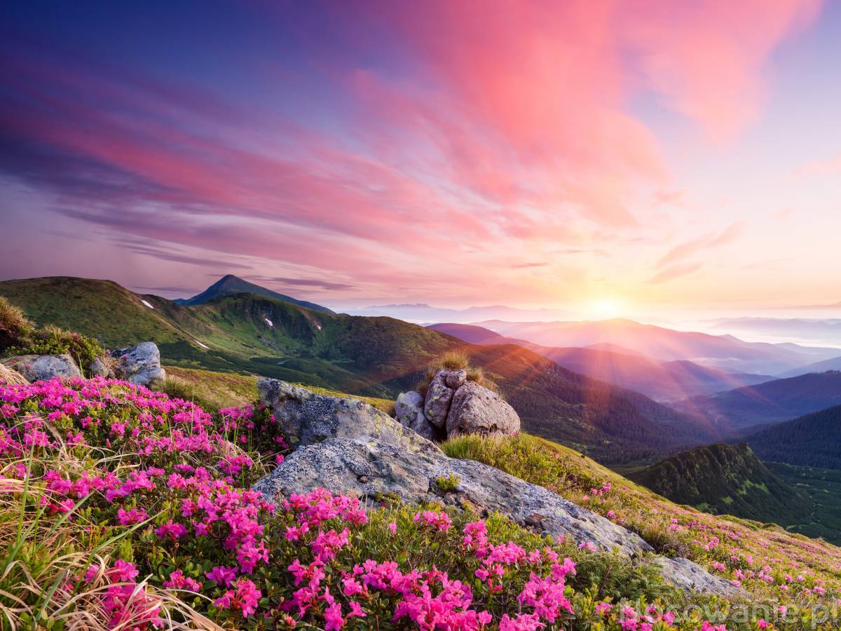 Noclegi w ustronnym miejscu