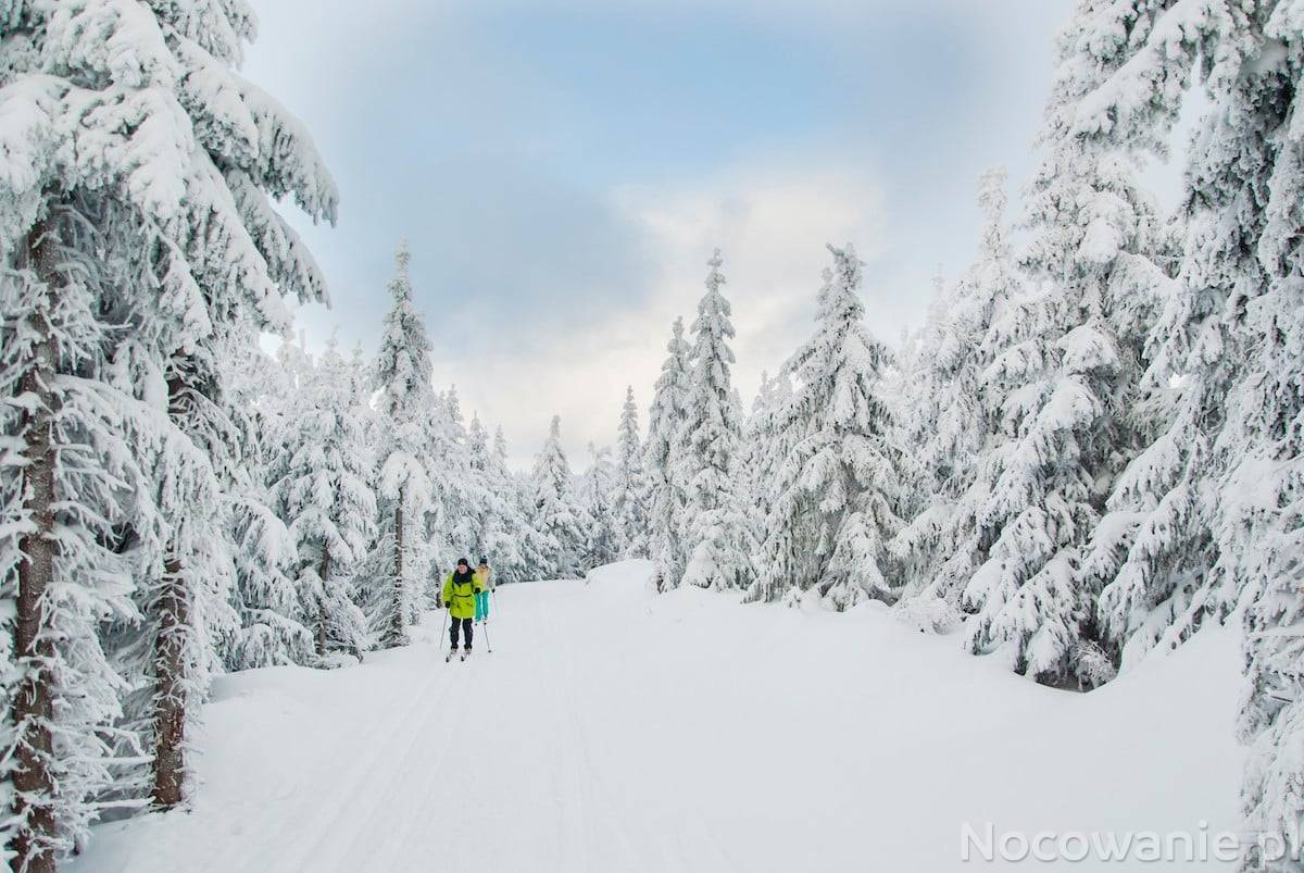 Ferie zimowe 2024, Osada Widok na Góry Domki