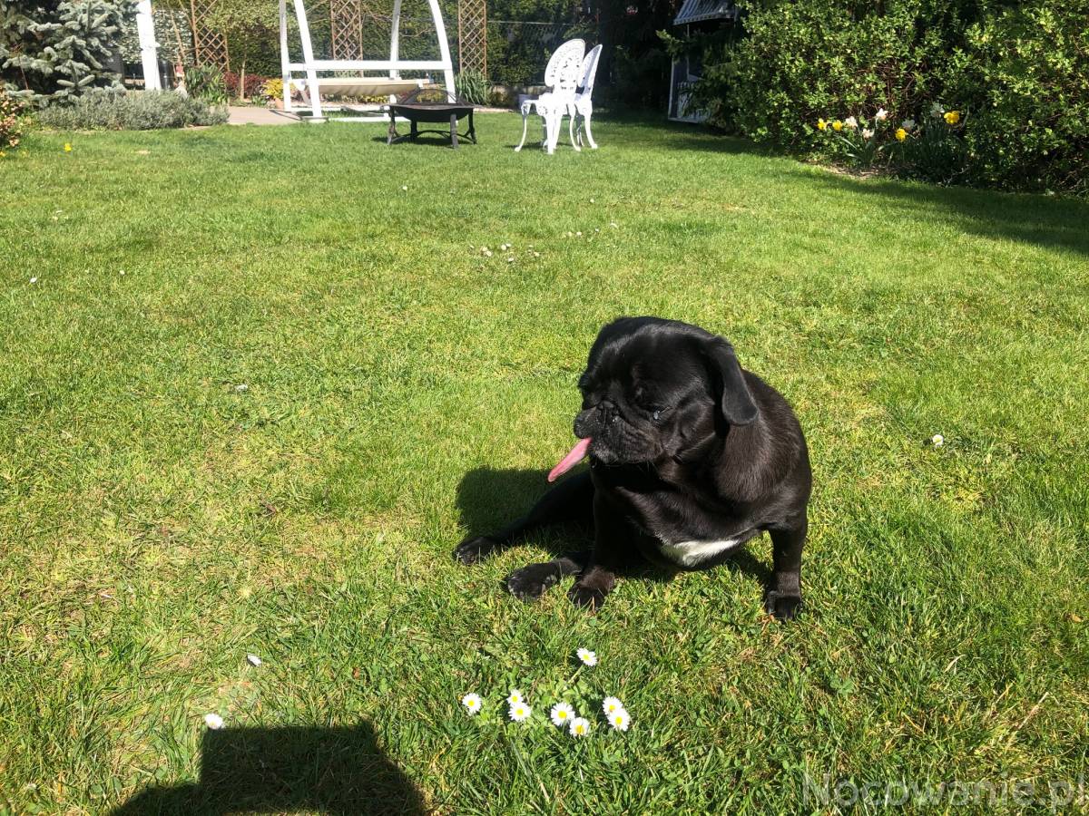 Noclegi w ustronnym miejscu