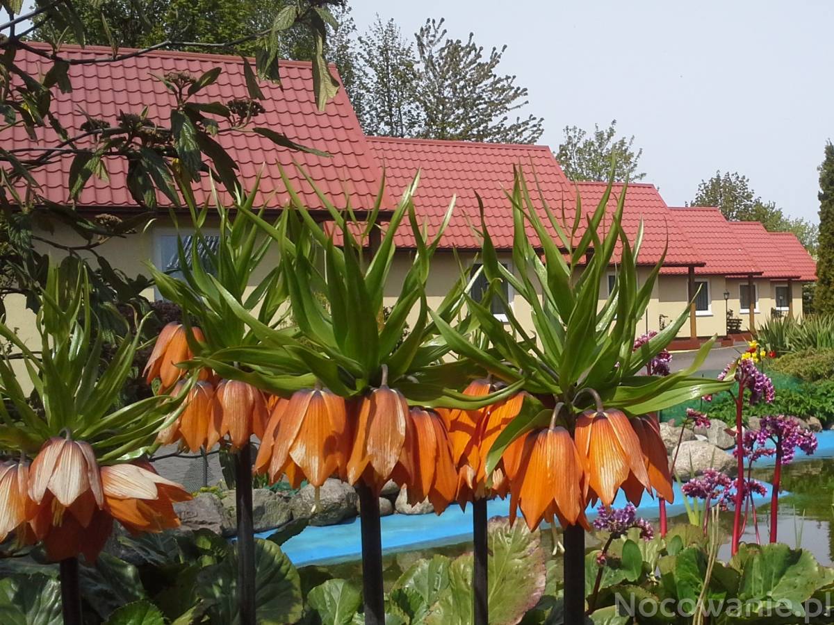 Noclegi w ustronnym miejscu