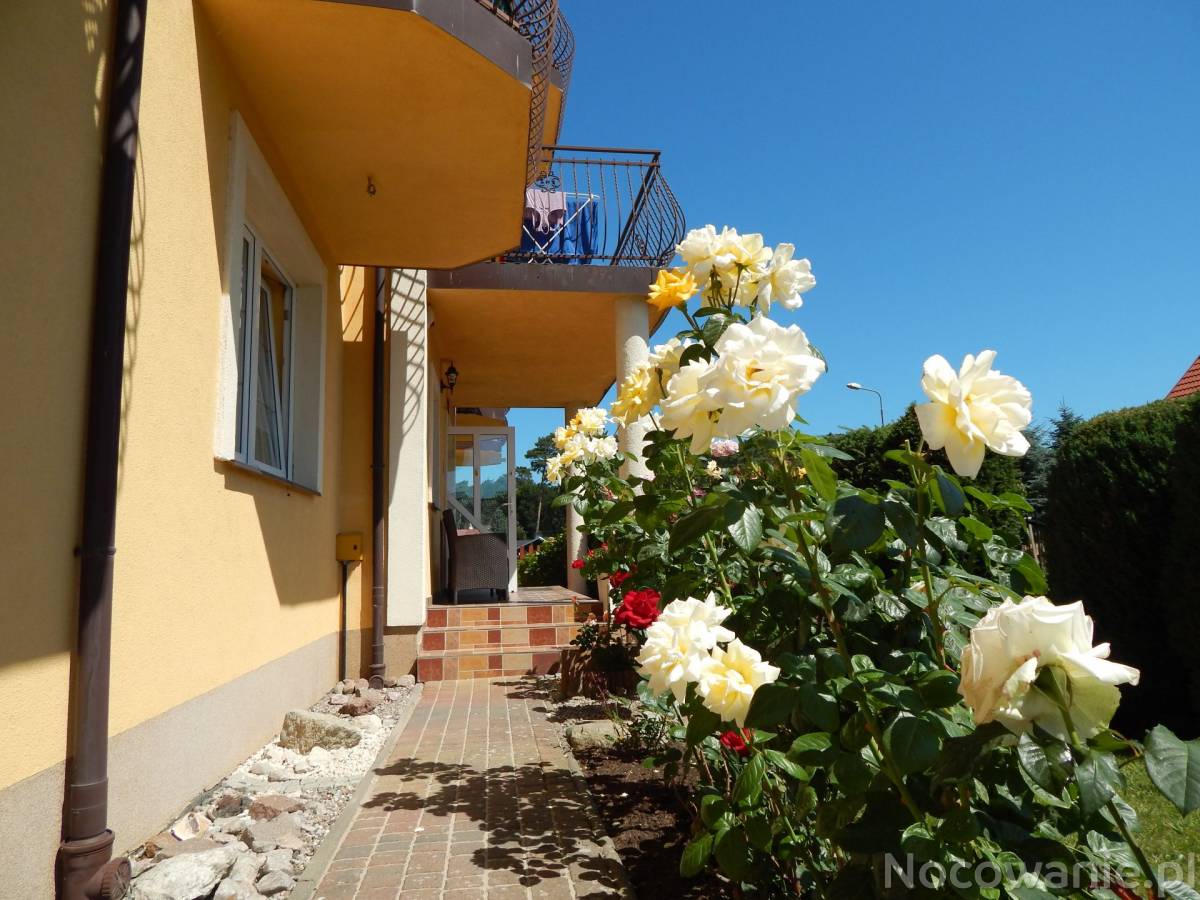 Dla turystów portalu