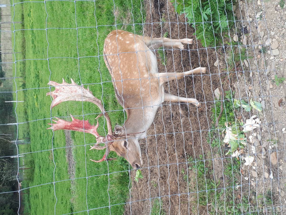 Noclegi w ustronnym miejscu