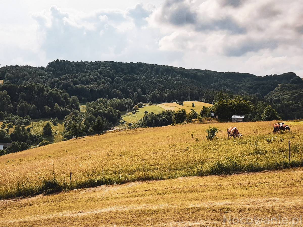 Noclegi w ustronnym miejscu