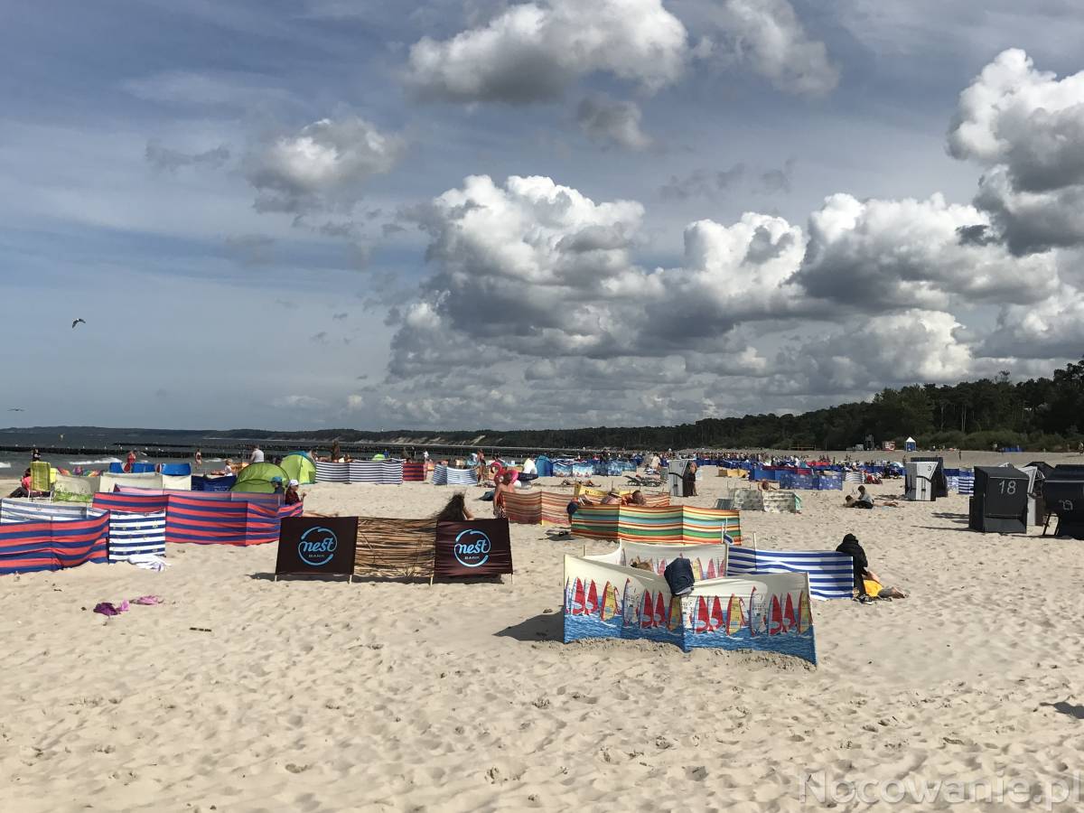 Wynajem długoterminowy